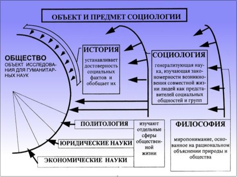 Схема структурных связей социологического знания