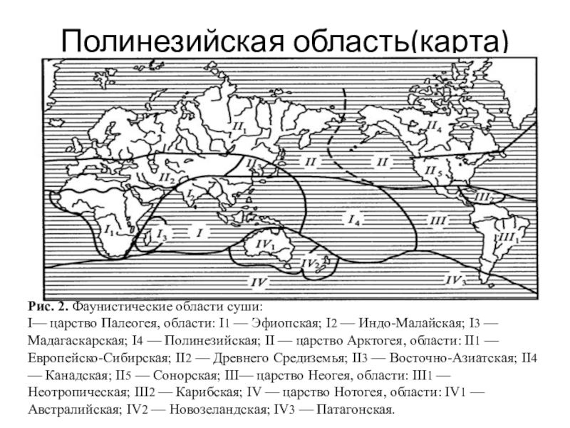 Фаунистические области карта