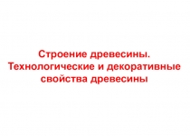 Презентация к уроку Строение древесины