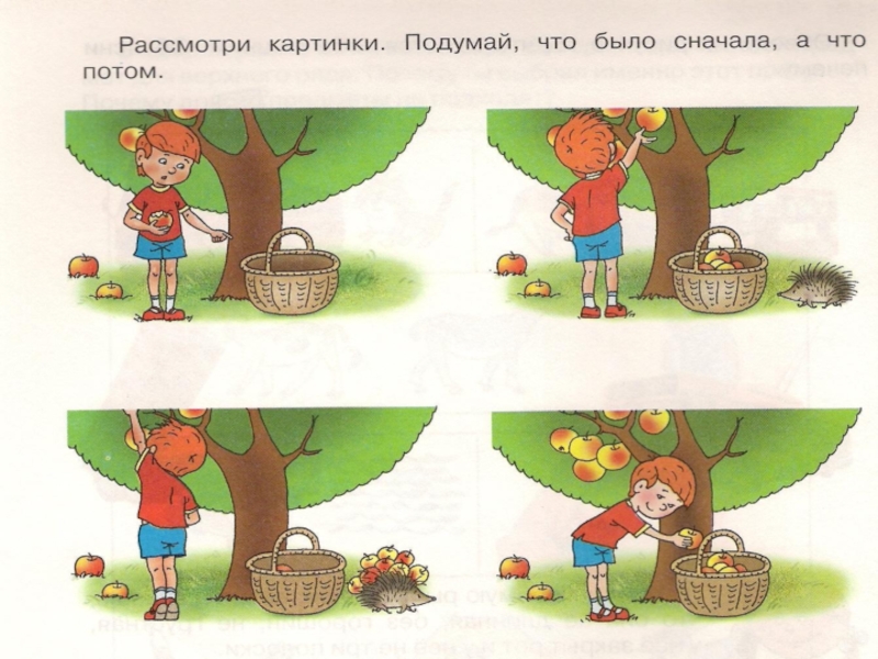 Что сначала что потом. Картинки что сначала что потом. Что сначала что потом в картинках для детей. Что было в начале а что потом.