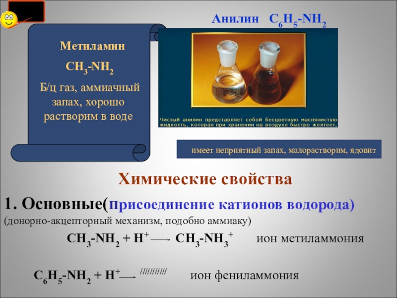 Метиламин пропан хлорметан водород. Анилин химические свойства. Метиламин и анилин. Химические свойства метиламина. Взаимодействие Нелна с водородом.