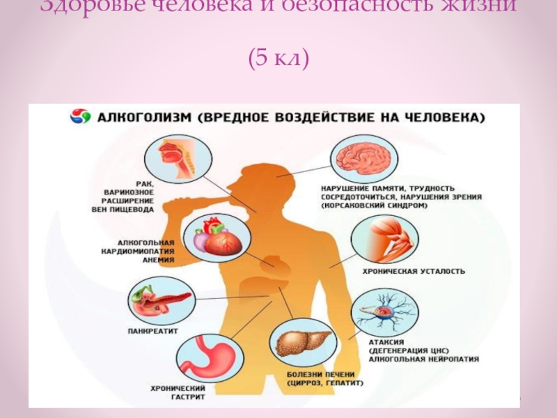 Здоровье и безопасность 2 класс презентация