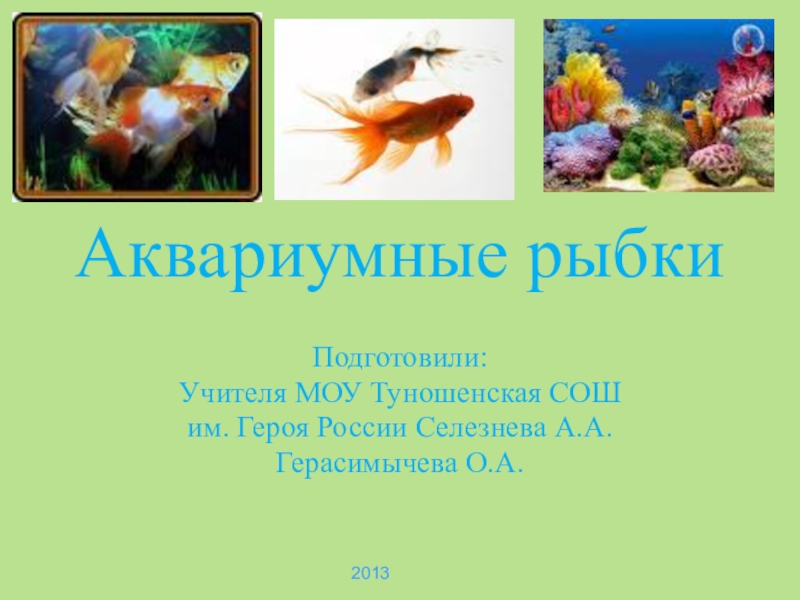 Презентация Презентация по окружающему миру аквариумные рыбки