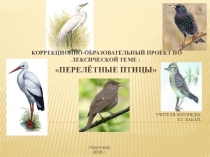 Презентация по логопедии на тему Перелетные птицы подготовительная группа