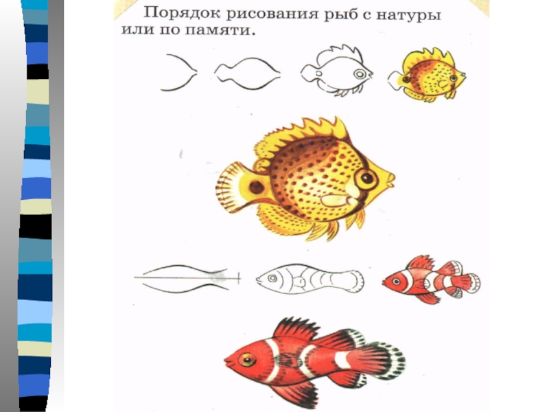 Изо красивые рыбы презентация. Красивые рыбы 1 класс. Рисование рыбки 1 класс. Красивые рыбы изо 1 класс. Красивые рыбки изо 1 класс.