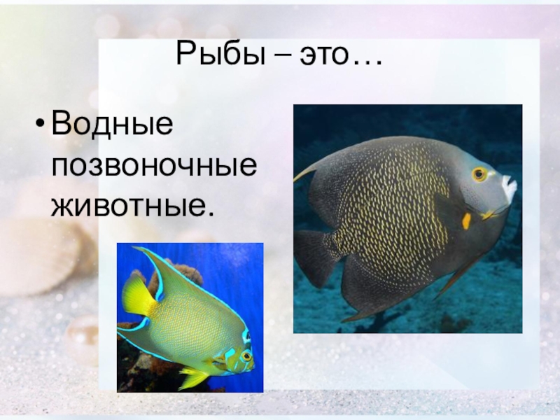 Рыбы биология 2 класс. Позвоночные рыбы. Позвоночные классы рыб. Позвоночные обитатели воды. Рыбы класс животных.