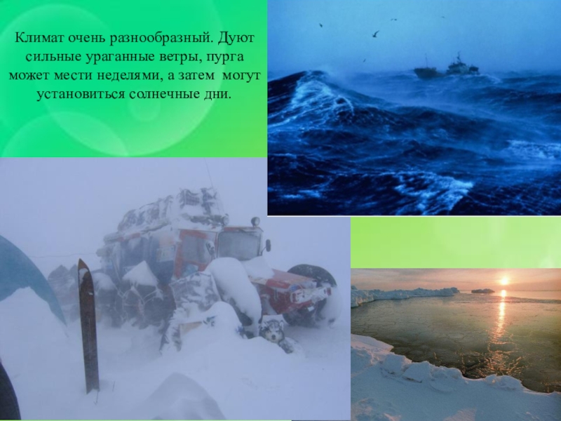 В течение всего года дуют сильные ветры. Ветер в Арктике. Где дуют самые сильные ветра в Арктике. Планета где дуют сильные ветра и много льда. Арктический ветер весной в Воронеже это какой.