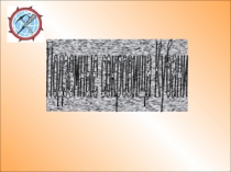 Презентация по окружающему миру на тему Полезные ископаемые