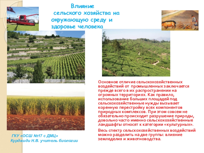 Реферат: Влияние сельского хозяйства на развитие экономики страны