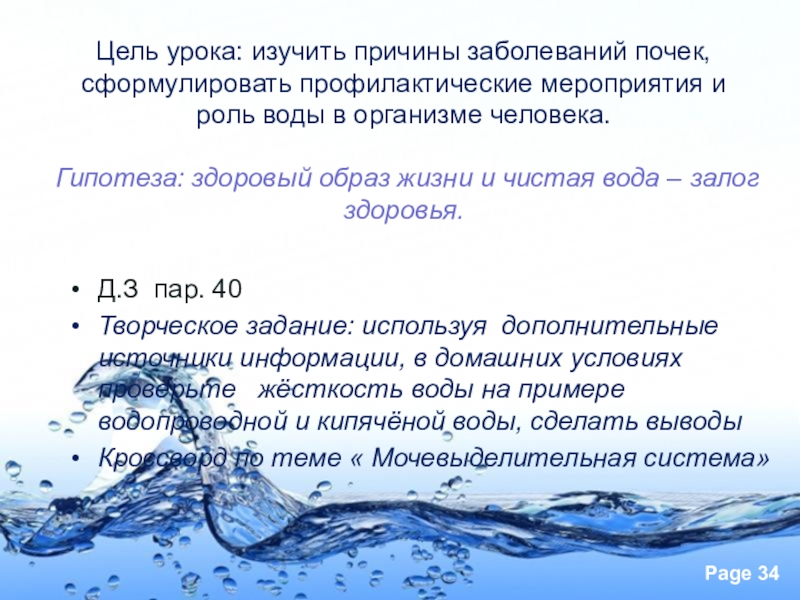 Презентация 8 класс предупреждение заболеваний почек питьевой режим презентация