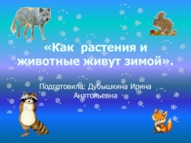 Презентация по ознакомлению с окружающим миром в подготовительной группе Как растения и животные живут зимой