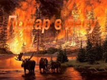 Презентация к урокам ОБЖ Лесные пожары