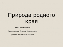 Природа нашего края Тайга