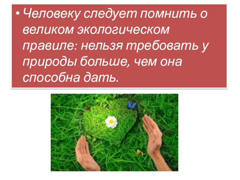 Окружающее увеличение. Человеку следует помнить о Великом экологическом. Великое экологическое правило. Что следует помнить человеку о Великом экологическом правиле. Чему учит экологическое правило.