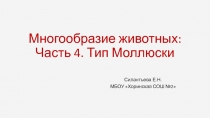 Презентация для подготовки к ОГЭ Многообразие животных: Часть 4. Тип Моллюски