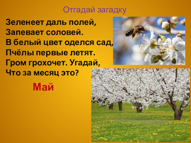 Ф тютчев весенняя гроза конспект урока 3 класс презентация