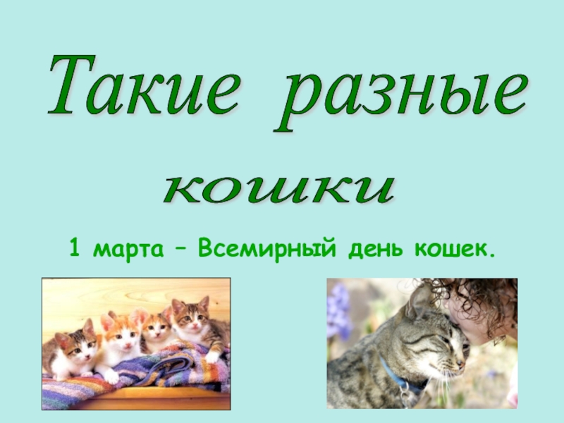 Презентация Презентация ко Всемирному дню кошек для детей дошкольного возраста.