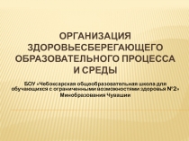 Презентация Организация здоровьесберегающего пространства