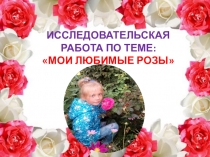 Исследовательская работа по теме Мои любимые розы