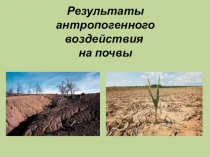 Презентация по экологическим основам природопользования Результаты антропогенного воздействия на почвы