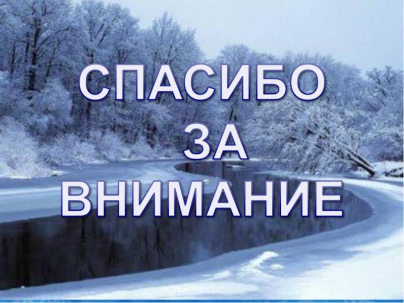 Внимание зимний. Спасибо за внимание зима. Спасибо за внимание зимнее. Спасибо за внимание Зимас. Спасибо за внимание на фоне зимы.