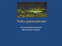 Презентация Рыбы уральских рек