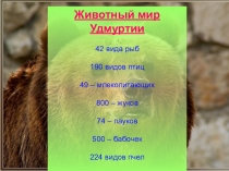 Презентация к классному часу по теме  Удмуртия - край родниковый
