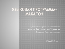 Презентация по Макатону ( методика работы с не говорящими (детьми)