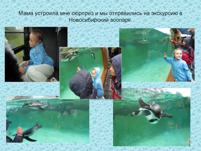 Мама устроила мне сюрприз и мы отправились на экскурсию в Новосибирский зоопарк.