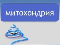 Презентация по биологии Митахондрия