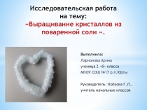 Презентация по исследовательской работе