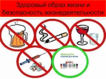 Презентация урока по ОБЖ на тему: Основные понятия здорового образа жизни (8 класс)