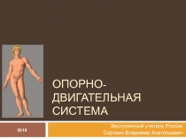 Презентация по биологии на тему Опорно-двигательная система 8 класс