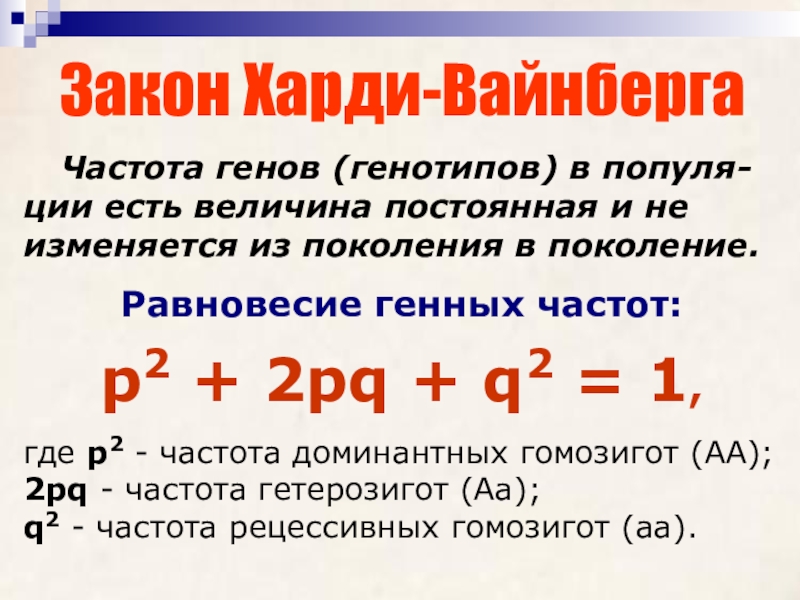 Закон равновесия в композиции примеры в картинках