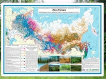 Презентация к уроку по ОБЖ на тему Лесные пожары