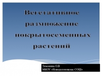 Презентация по биологии для 6 класса.