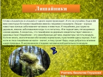 Презентация по биологии на тему Лишайники