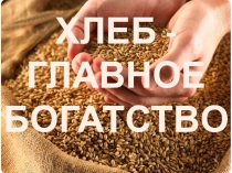Презентация Хлеб всему голова