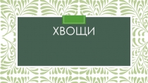 Презентация к уроку Хвощи ( 3 класс)