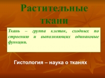 Презентация по биологии на тему: Растительные ткани