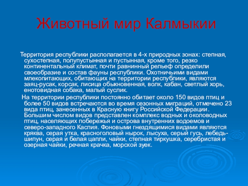 Развитие республики калмыкия. Животный мир Калмыкии презентация. Красная книга Калмыкии животные. Животный и растительный мир Калмыкии. Сообщение о Калмыкии.