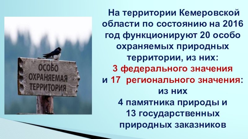 Заповедники кузбасса карта