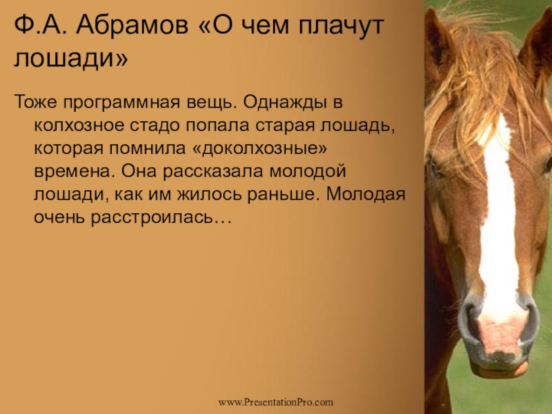 В каком году о чем плачут лошади. Ф Абрамов о чём плачут лошади. Лошадь плачет. Как плачут лошади. О чем плачут лошади иллюстрация.