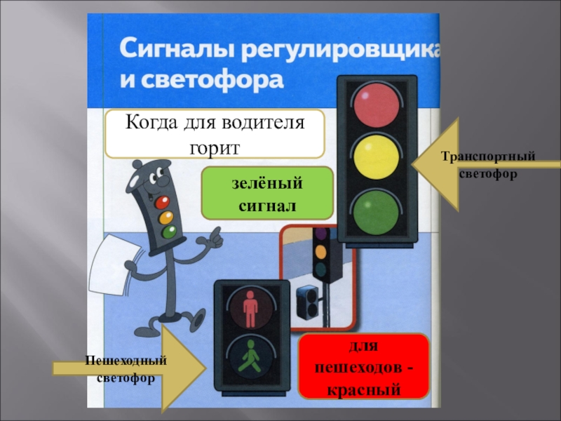 Сколько секунд светофор. Светофор для водителей. Сигналы светофора. Светофор для пешеходов. Сигналы светофора для пешеходов.