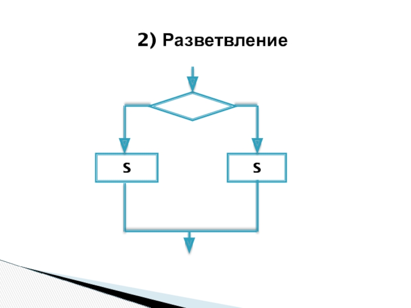 Разветвление линии. Разветвление. Разветвление компании. Разветвление спортивное. Методы программирования.