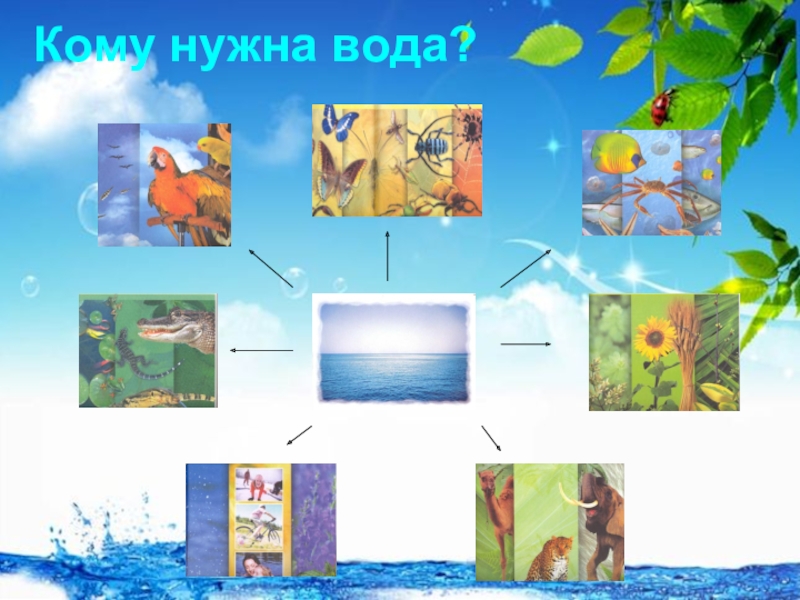 Для чего нужна вода картинки для детей