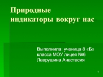 Презентация к исследовательской работе по химии Природные индикаторы вокруг нас