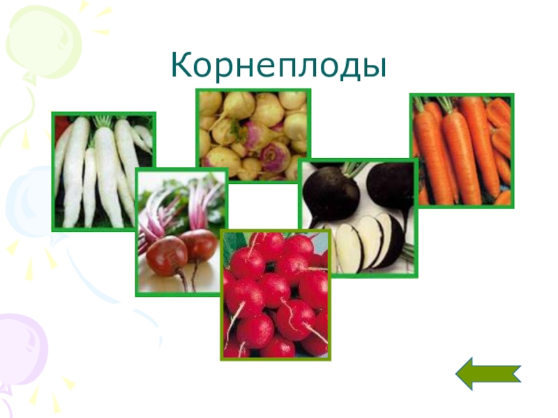 Примеры корнеплодов. Корнеплоды. Овощи корнеплоды виды. Виды корнеплодов. Корнеплоды презентация.