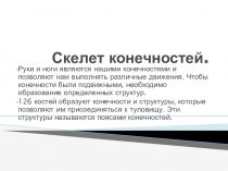 Презентация к уроку по теме: Скелет конечностей