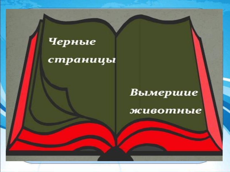 Заочное путешествие по беларуси для начальных классов презентация